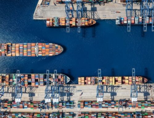 Investment market update: February 2026